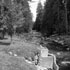Butte Creek runs through the backyard of the cabin